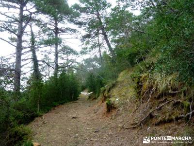 Viaje Semana Santa - Mallos Riglos - Jaca; grupos para hacer senderismo en madrid; senderismo semana